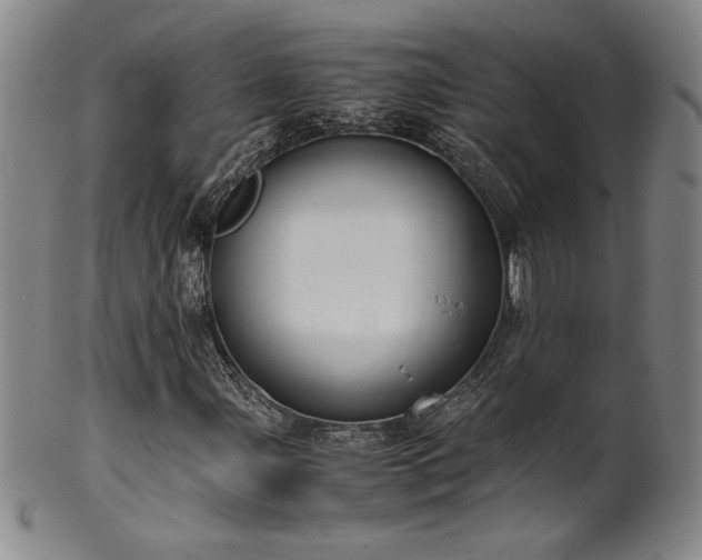 X0000102471107200808081243