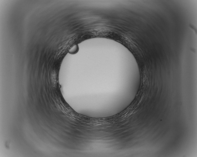 X0000102471108200808081243