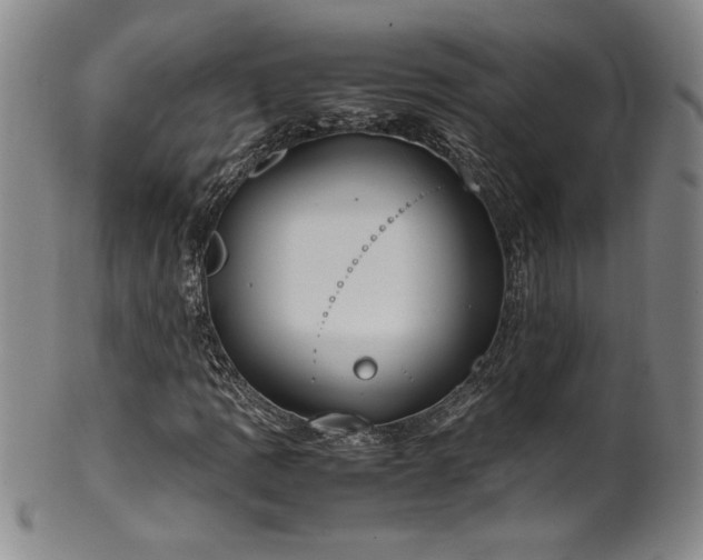 X0000102471109200808081243