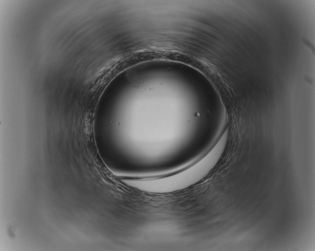 X0000102471110200808081244