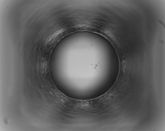 X0000102471111200808081244