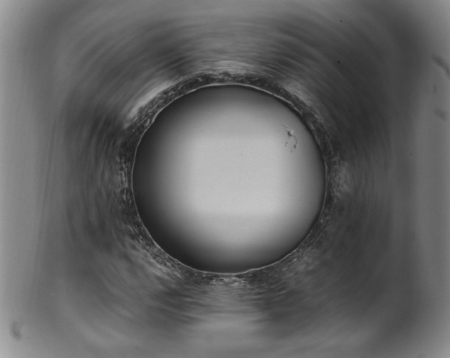X0000102471112200808081244