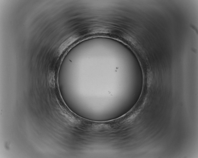 X0000102471113200808081244