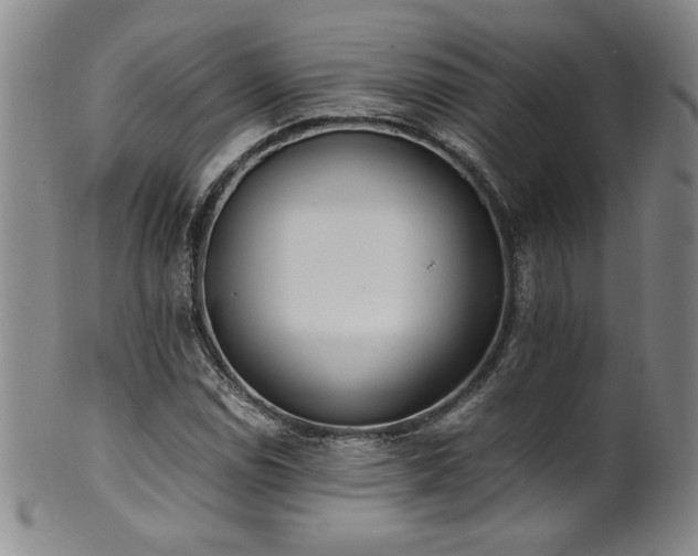 X0000102471114200808081244