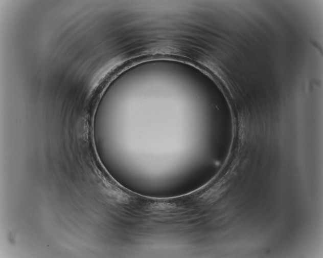 X0000102471115200808081244