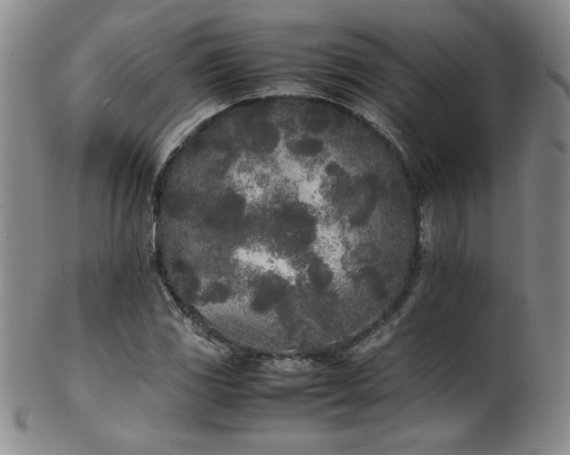 X0000102471117200808081244