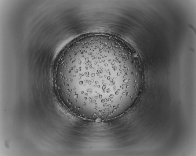 X0000102471120200808081244