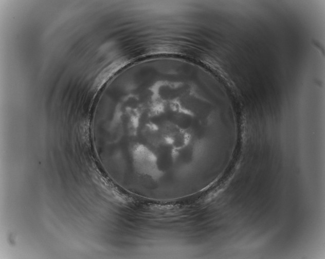 X0000102471121200808081244
