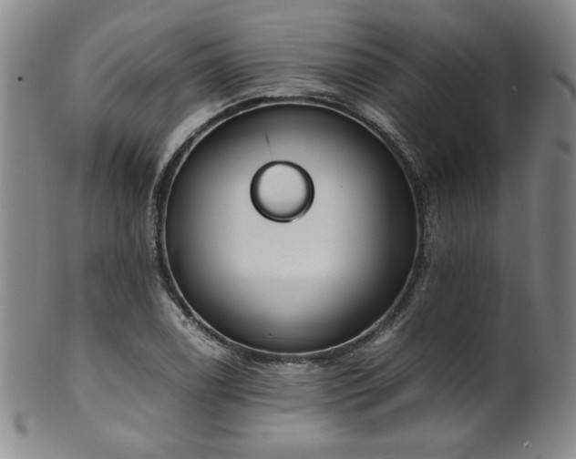 X0000102471122200808081244