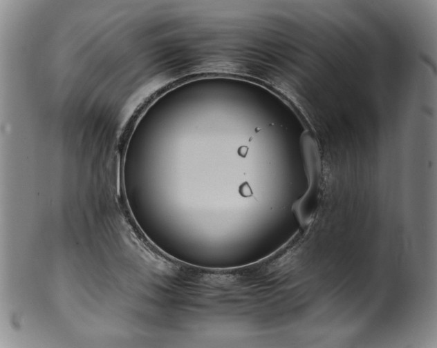 X0000102471123200808081244