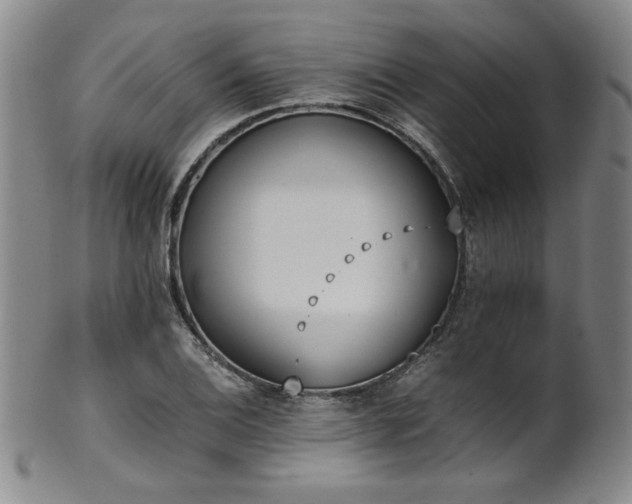 X0000102471124200808081244