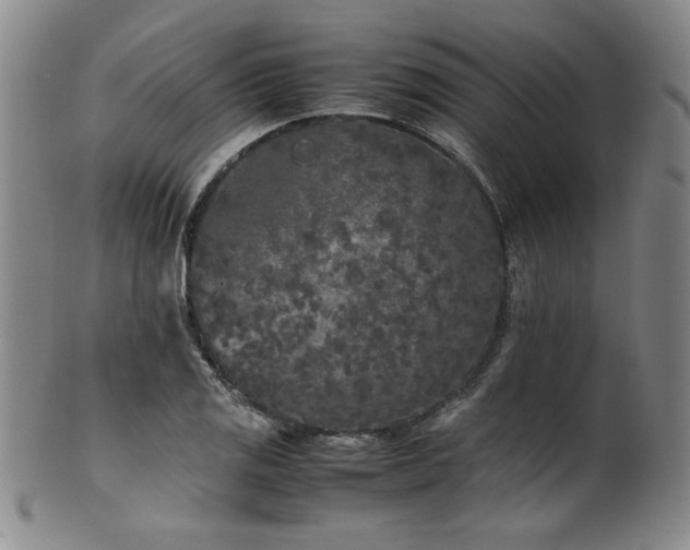 X0000102471125200808081244
