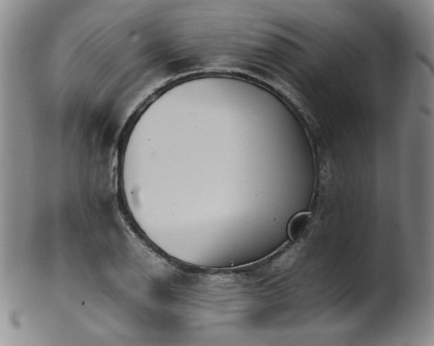 X0000102471126200808081244