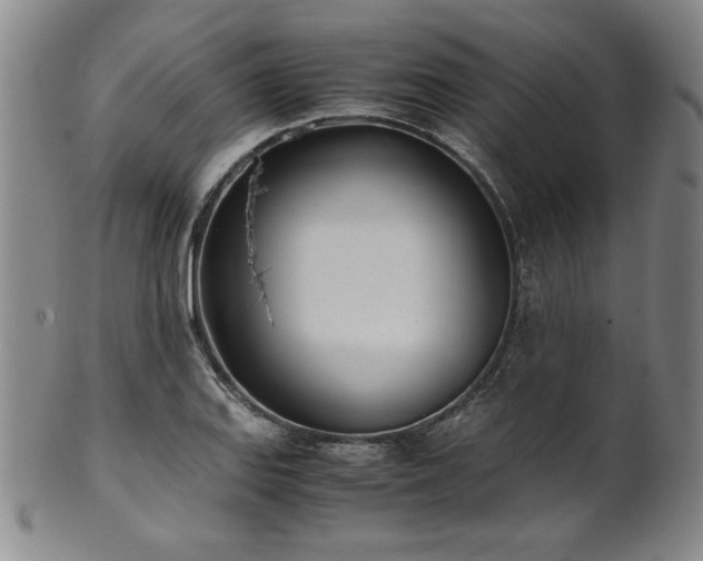 X0000102471127200808081244