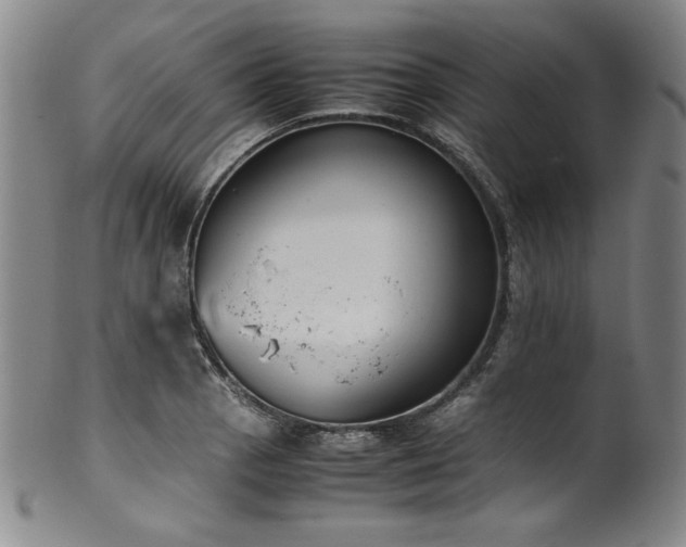 X0000102471129200808081244