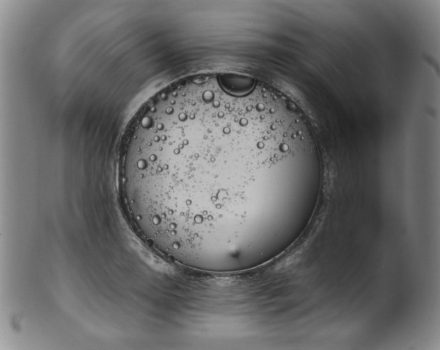 X0000102471130200808081244