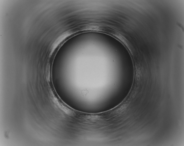 X0000102471131200808081244