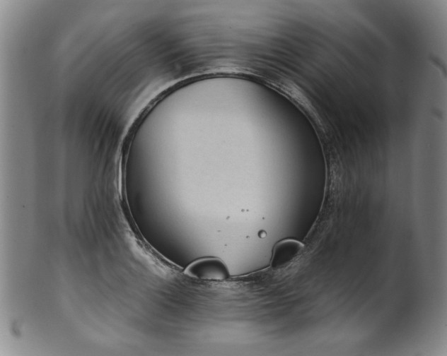 X0000102471132200808081244