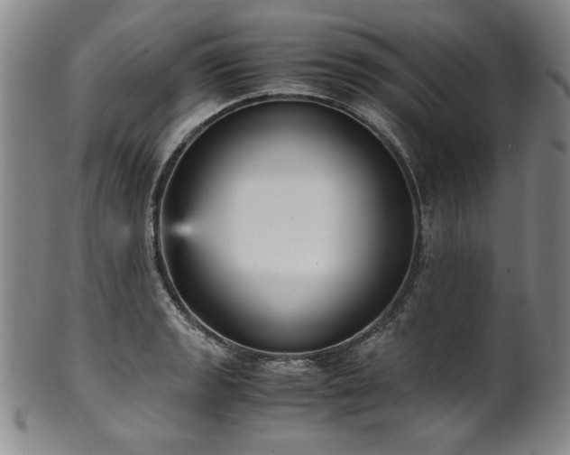 X0000102471133200808081244
