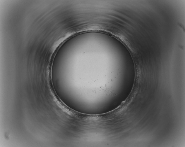 X0000102471134200808081244
