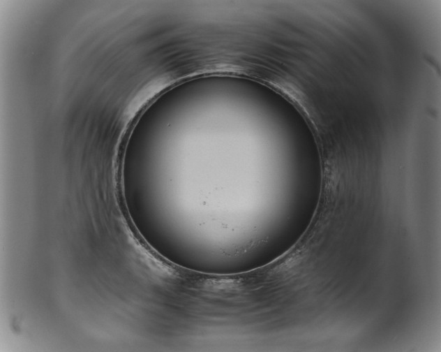 X0000102471135200808081244