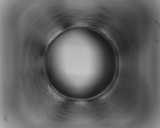 X0000102471137200808081244