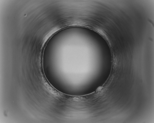 X0000102471138200808081244
