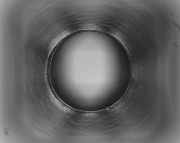 X0000102471139200808081244