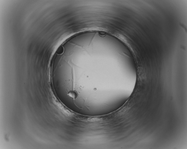 X0000102471140200808081244