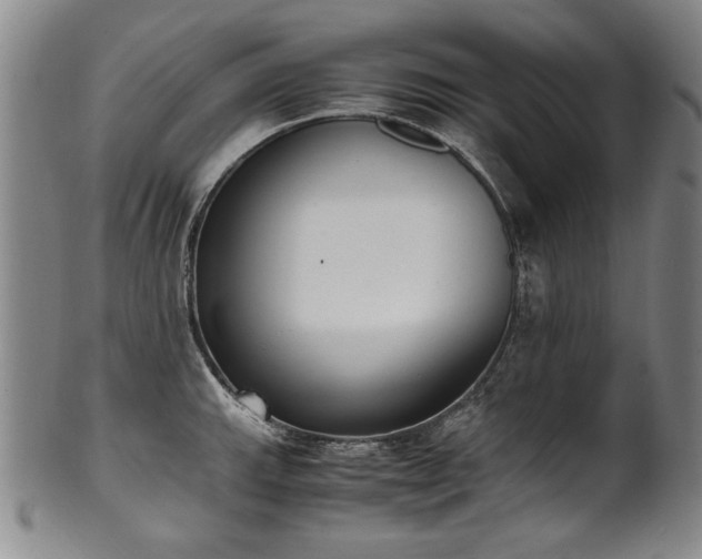 X0000102471143200808081244