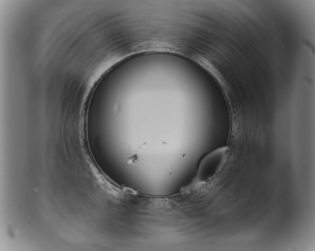 X0000102471144200808081244