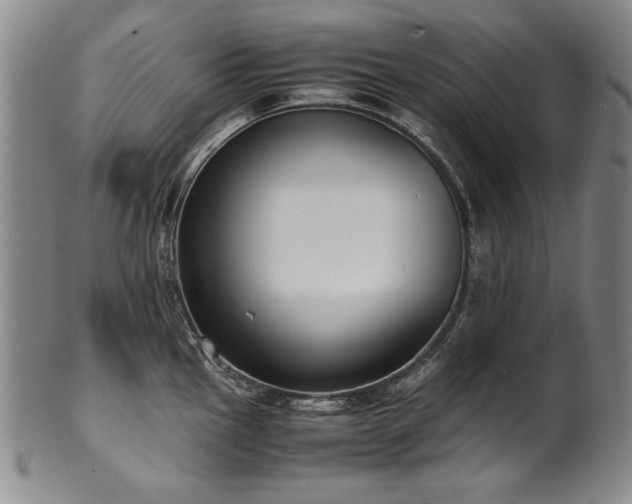 X0000102471145200808081244