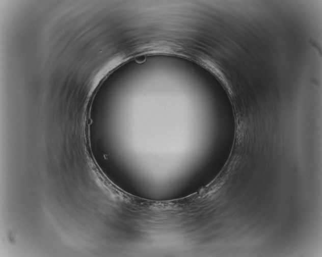 X0000102471146200808081244