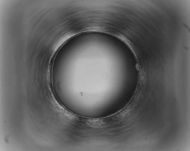 X0000102471147200808081244