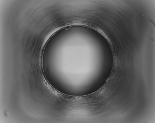 X0000102471148200808081244