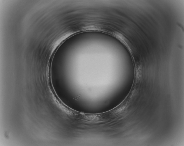 X0000102471149200808081244