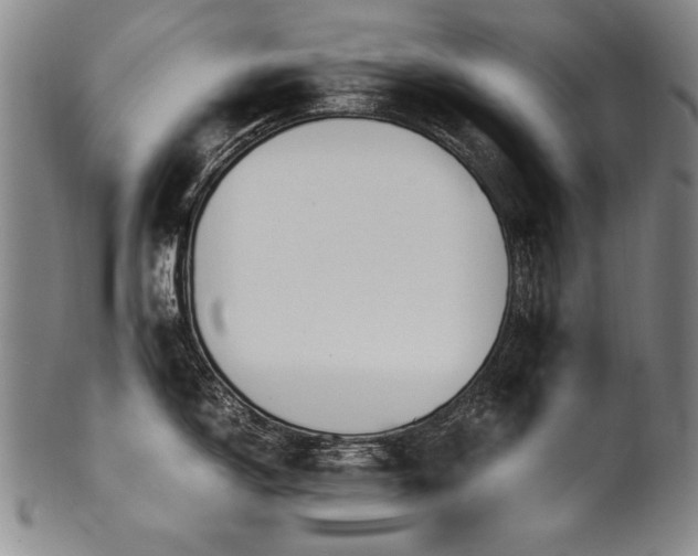 X0000102471150200808081244