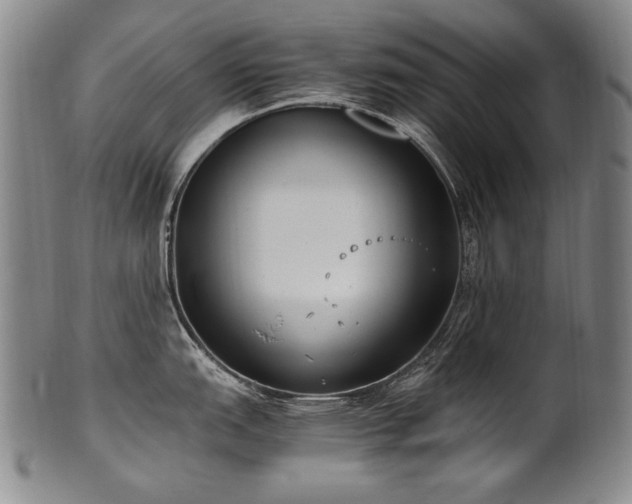 X0000102471151200808081244