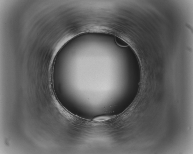 X0000102471152200808081244