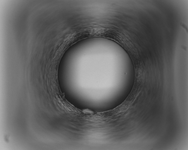 X0000102471153200808081243