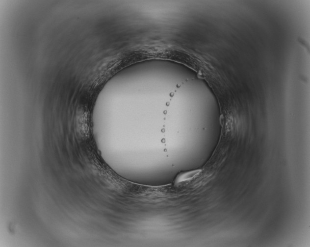 X0000102471156200808081243