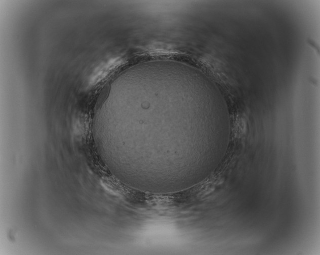 X0000102471157200808081243