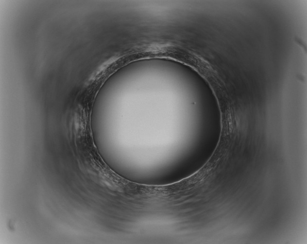 X0000102471158200808081243
