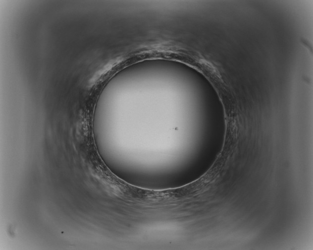 X0000102471159200808081243
