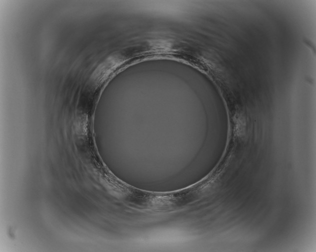 X0000102471161200808081243