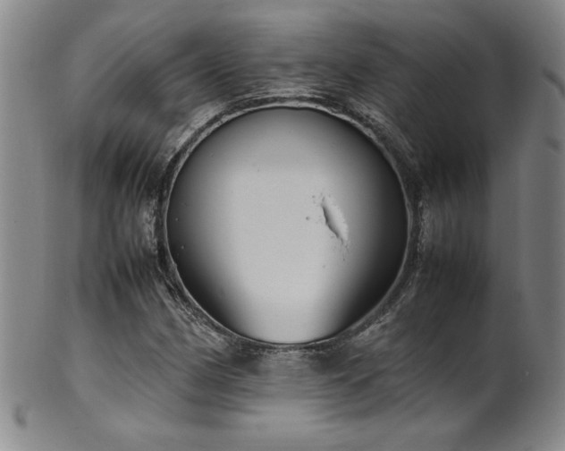 X0000102471162200808081243