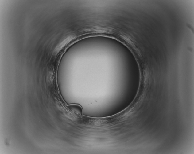 X0000102471163200808081243