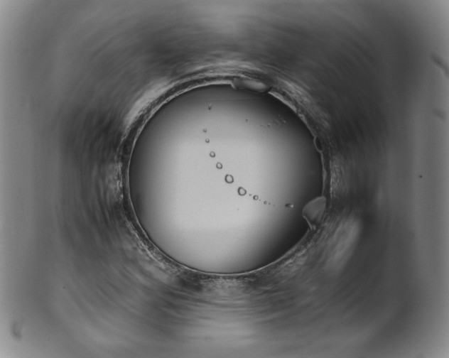 X0000102471164200808081243
