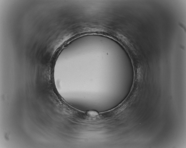 X0000102471165200808081243