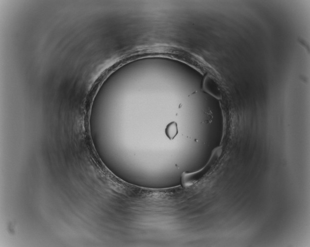 X0000102471166200808081243